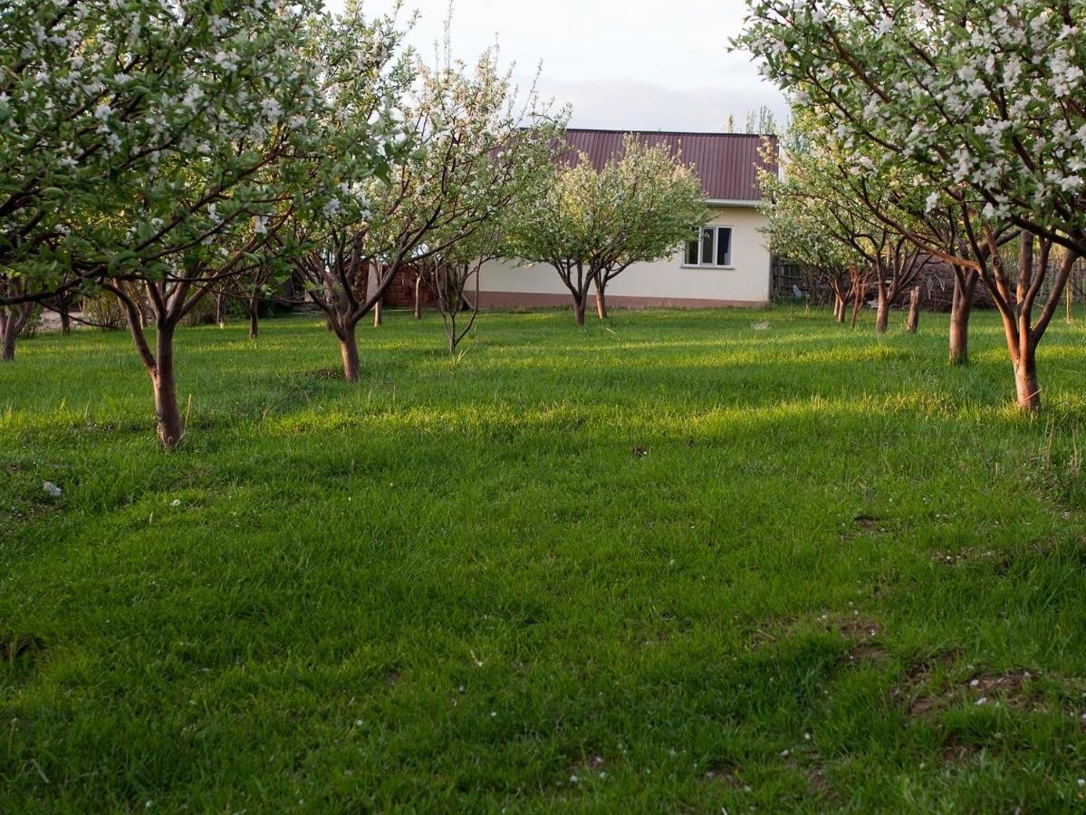 Barskoon Guest House Экстерьер фото